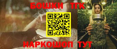 гидра Заводоуковск
