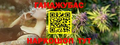 гашик Жуковский