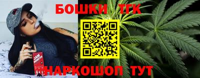 гидра Заводоуковск
