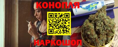 гидра Заводоуковск