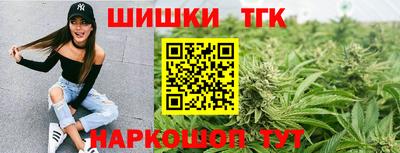 гидра Заводоуковск