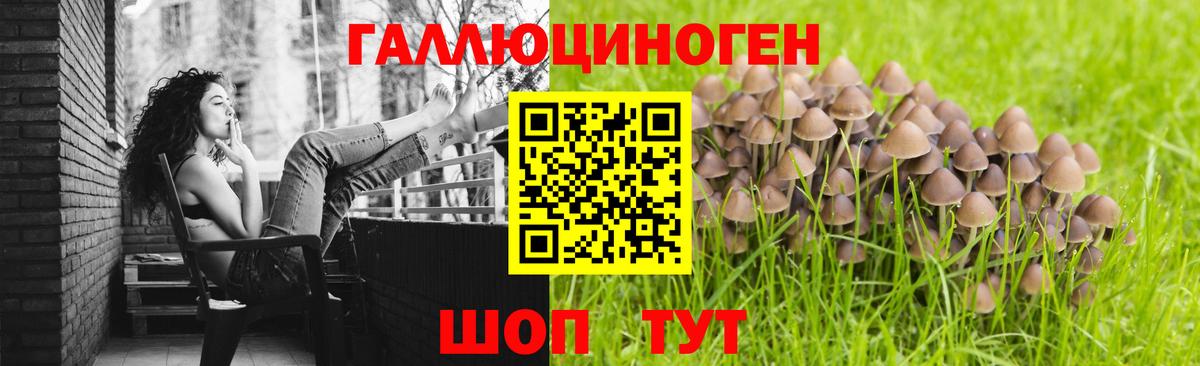 Псилоцибиновые грибы Cubensis  Вход с VPN  Дальнереченск  Галлюциногенные грибы MAGIC MUSHROOMS 